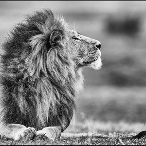 Meet your Posher, Bryan